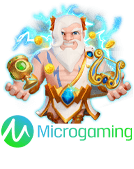 microgaming BETTASLOT